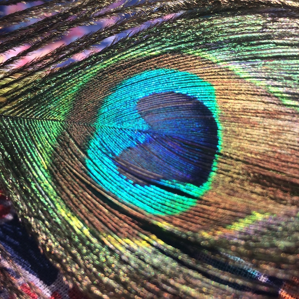 Meet your Posher, Tanya